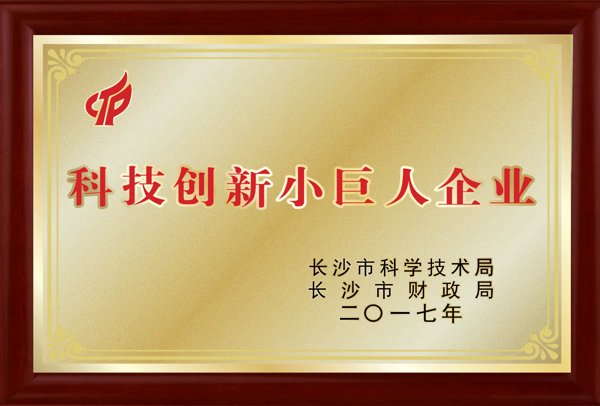 科技小巨人32