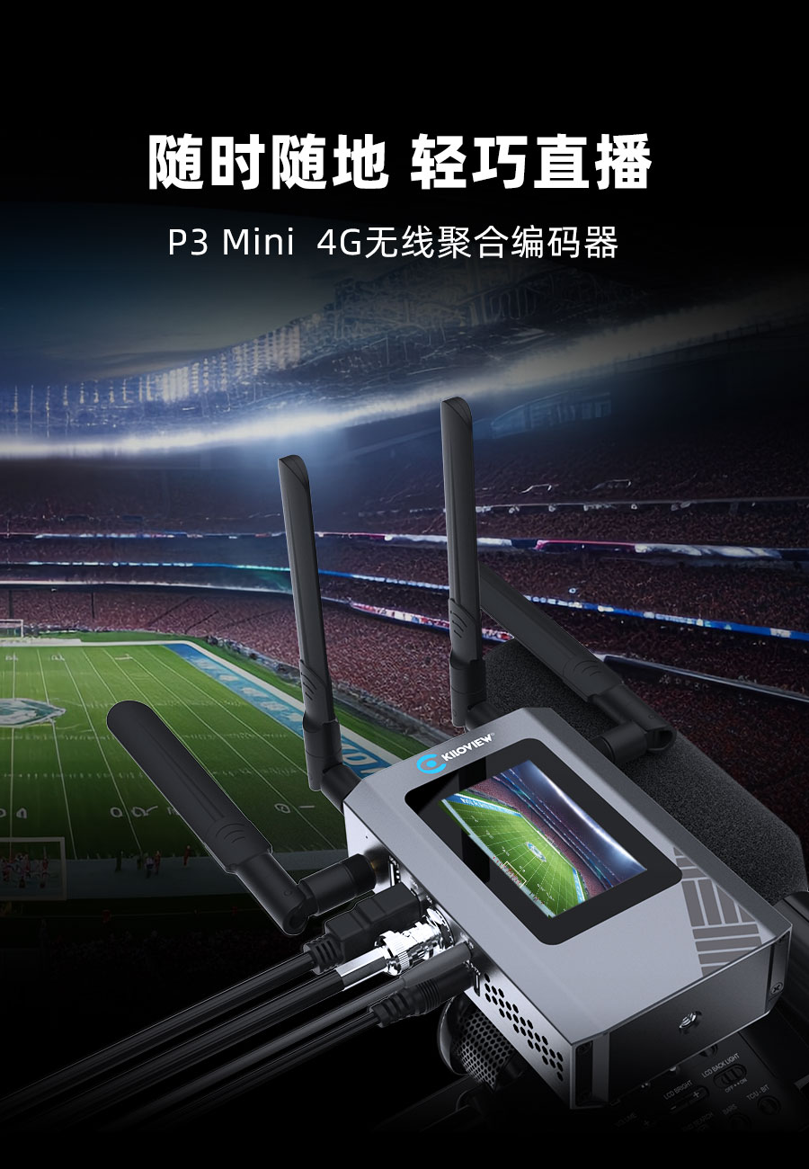 P3 Mini缩略图